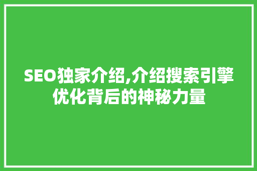 SEO独家介绍,介绍搜索引擎优化背后的神秘力量