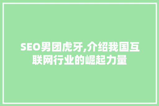 SEO男团虎牙,介绍我国互联网行业的崛起力量