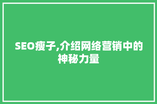 SEO瘦子,介绍网络营销中的神秘力量