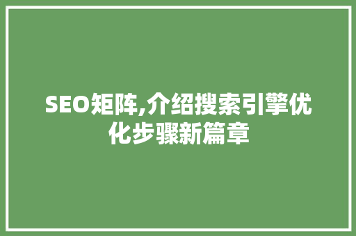 SEO矩阵,介绍搜索引擎优化步骤新篇章