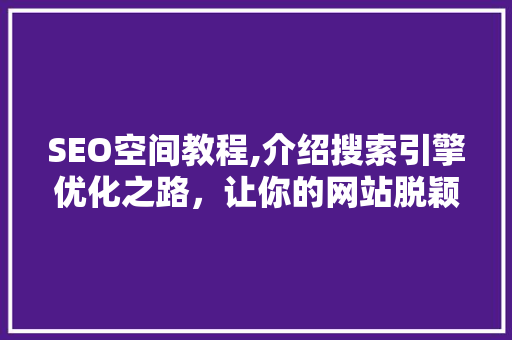 SEO空间教程,介绍搜索引擎优化之路，让你的网站脱颖而出