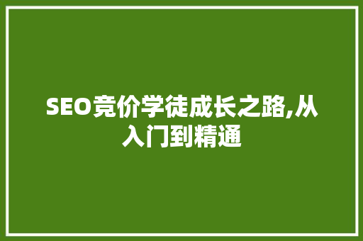 SEO竞价学徒成长之路,从入门到精通