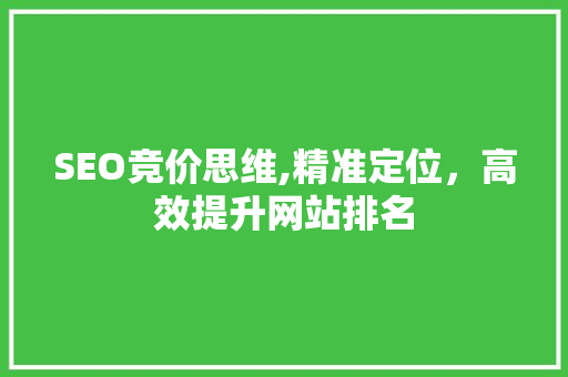 SEO竞价思维,精准定位，高效提升网站排名