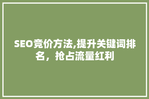 SEO竞价方法,提升关键词排名，抢占流量红利