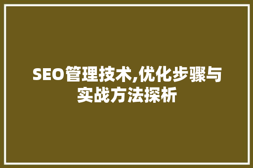 SEO管理技术,优化步骤与实战方法探析