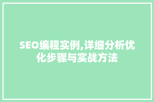 SEO编程实例,详细分析优化步骤与实战方法