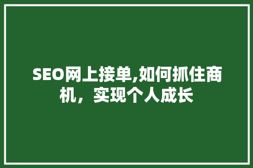 SEO网上接单,如何抓住商机，实现个人成长