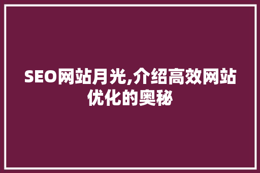 SEO网站月光,介绍高效网站优化的奥秘