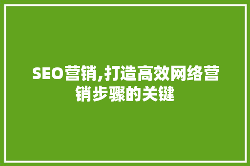 SEO营销,打造高效网络营销步骤的关键