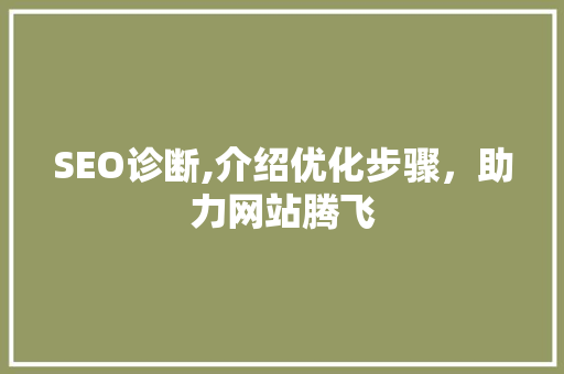 SEO诊断,介绍优化步骤，助力网站腾飞