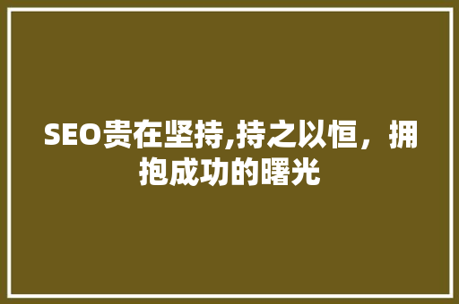 SEO贵在坚持,持之以恒，拥抱成功的曙光