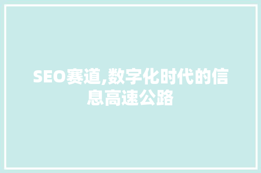 SEO赛道,数字化时代的信息高速公路