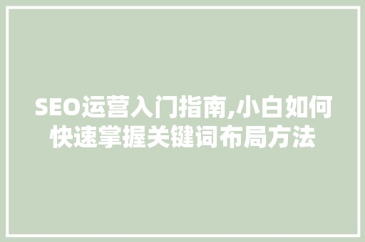 SEO运营入门指南,小白如何快速掌握关键词布局方法