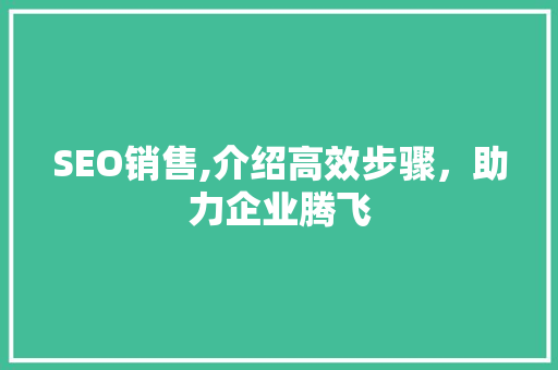 SEO销售,介绍高效步骤，助力企业腾飞