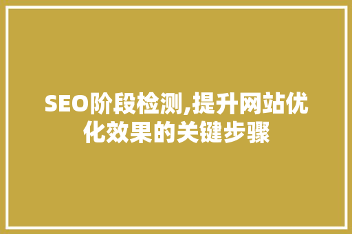 SEO阶段检测,提升网站优化效果的关键步骤