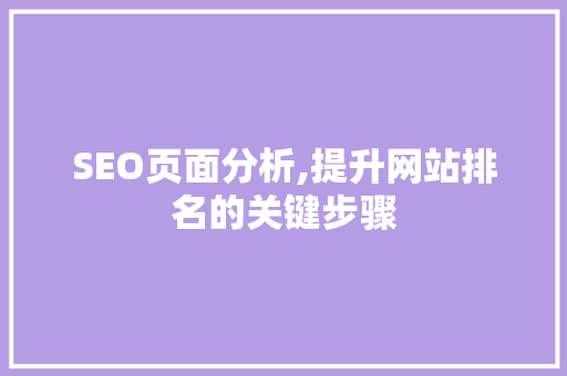 SEO页面分析,提升网站排名的关键步骤