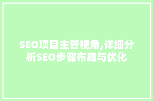 SEO项目主管视角,详细分析SEO步骤布局与优化