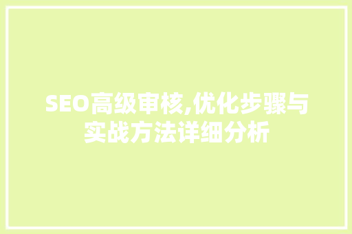 SEO高级审核,优化步骤与实战方法详细分析