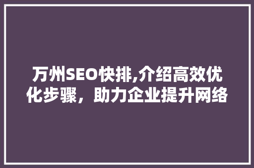 万州SEO快排,介绍高效优化步骤，助力企业提升网络竞争力