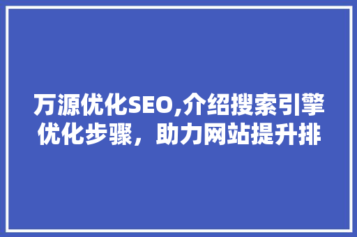 万源优化SEO,介绍搜索引擎优化步骤，助力网站提升排名