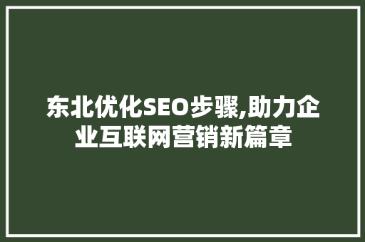 东北优化SEO步骤,助力企业互联网营销新篇章