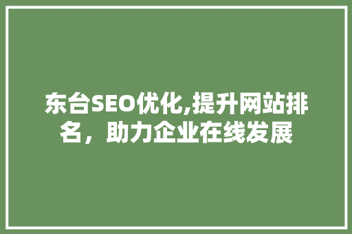 东台SEO优化,提升网站排名，助力企业在线发展