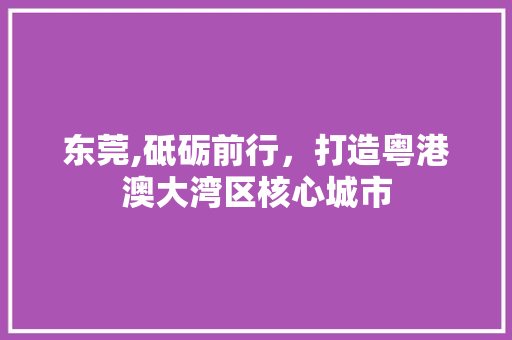 东莞,砥砺前行，打造粤港澳大湾区核心城市