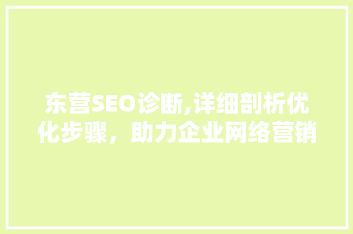 东营SEO诊断,详细剖析优化步骤，助力企业网络营销腾飞