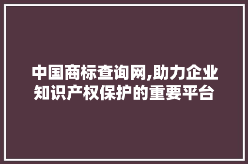 中国商标查询网,助力企业知识产权保护的重要平台