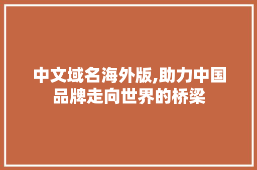 中文域名海外版,助力中国品牌走向世界的桥梁