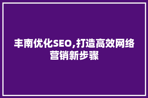 丰南优化SEO,打造高效网络营销新步骤