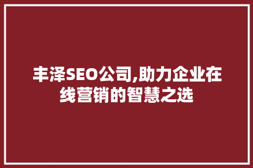 丰泽SEO公司,助力企业在线营销的智慧之选