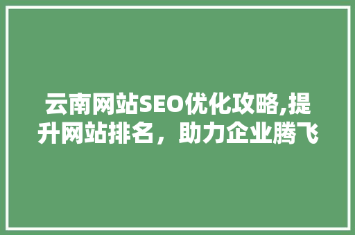 云南网站SEO优化攻略,提升网站排名，助力企业腾飞