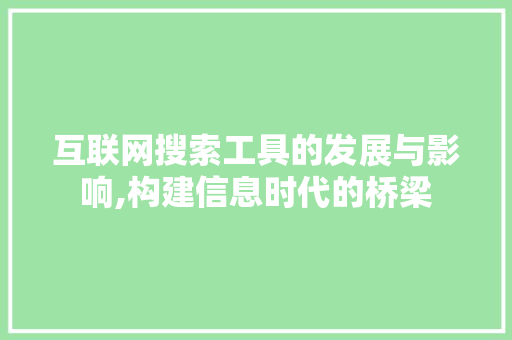 互联网搜索工具的发展与影响,构建信息时代的桥梁