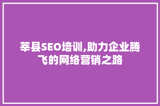 莘县SEO培训,助力企业腾飞的网络营销之路