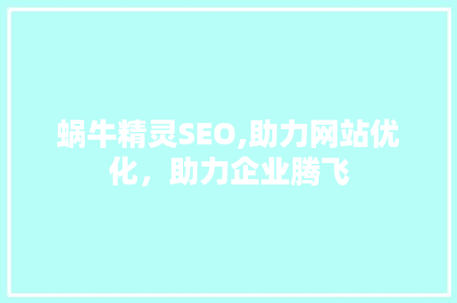 蜗牛精灵SEO,助力网站优化，助力企业腾飞