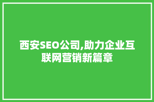 西安SEO公司,助力企业互联网营销新篇章