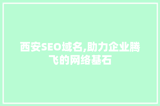 西安SEO域名,助力企业腾飞的网络基石