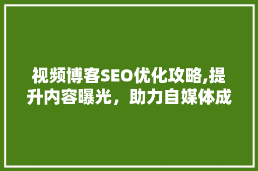 视频博客SEO优化攻略,提升内容曝光，助力自媒体成长