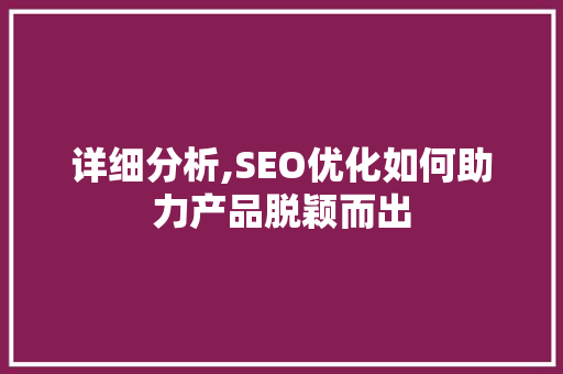 详细分析,SEO优化如何助力产品脱颖而出