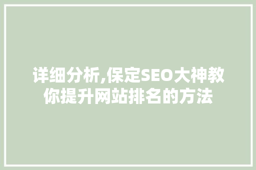 详细分析,保定SEO大神教你提升网站排名的方法