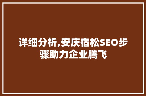 详细分析,安庆宿松SEO步骤助力企业腾飞