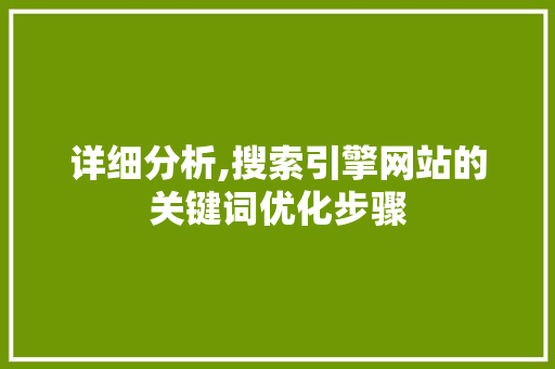 详细分析,搜索引擎网站的关键词优化步骤