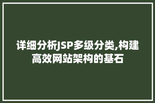 详细分析JSP多级分类,构建高效网站架构的基石