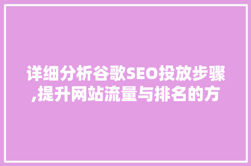 详细分析谷歌SEO投放步骤,提升网站流量与排名的方法