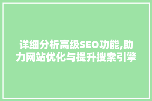 详细分析高级SEO功能,助力网站优化与提升搜索引擎排名