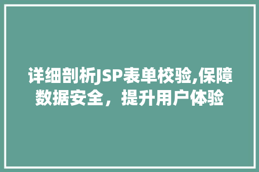 详细剖析JSP表单校验,保障数据安全，提升用户体验