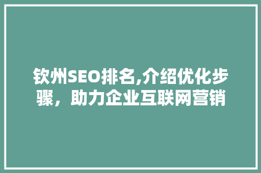 钦州SEO排名,介绍优化步骤，助力企业互联网营销