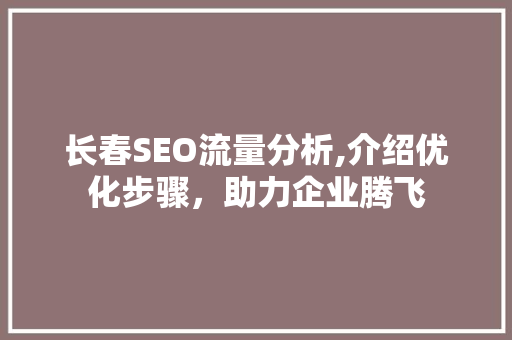 长春SEO流量分析,介绍优化步骤，助力企业腾飞