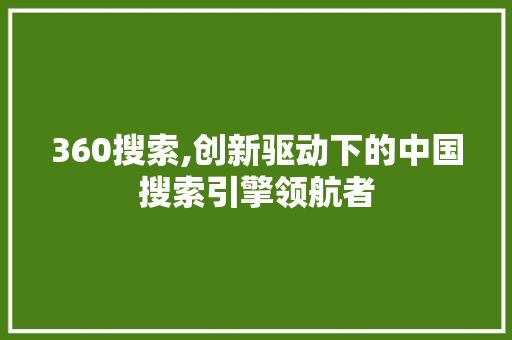 360搜索,创新驱动下的中国搜索引擎领航者